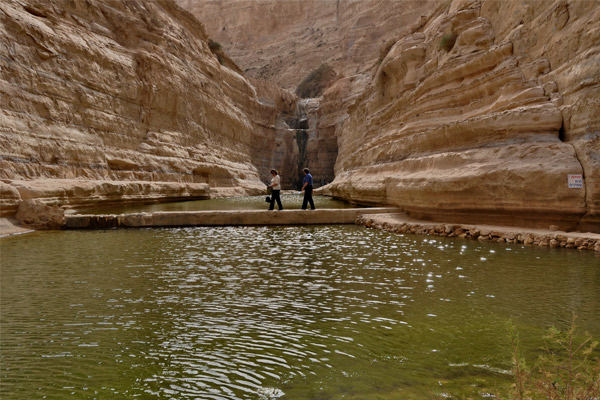 Why a private tour gide?